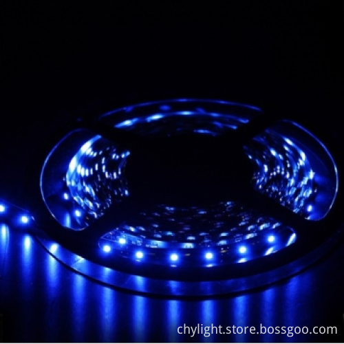 3528 Smd LED Strip Ribbon Light with CE and RoHS Certification